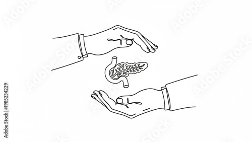 World Pancreatic Cancer Day Illustration of hands protecting a human pancreas, symbolizing health and medical care for vital organs