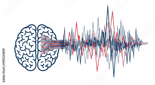 Brain Waves and Neural Network Activity