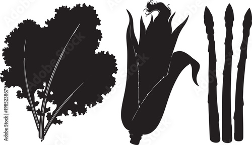 Fresh vegetables including kale corn and asparagus as a simple silhouette Isolated on white background