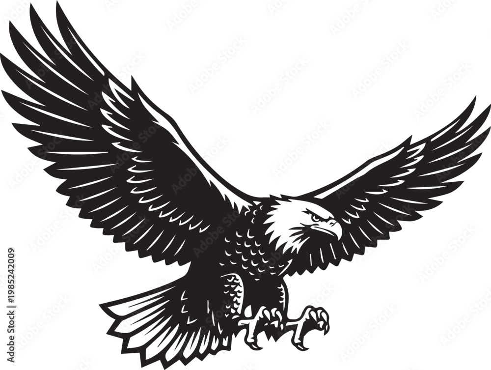 Fototapeta premium Soaring Eagle with Talons Extended and Detailed Feather Textures, Vintage Engraving Style Black and White Vector Illustration 
