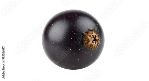 golden egg on png background