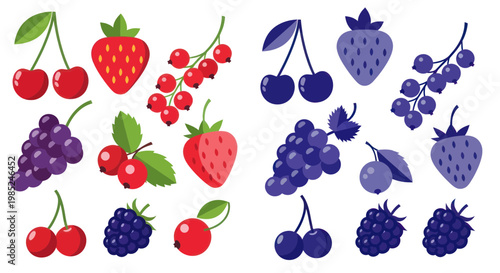 Fresh Berries Collection: Red & Blue Fruits Assortment