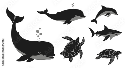 Black and white marine animals illustration.