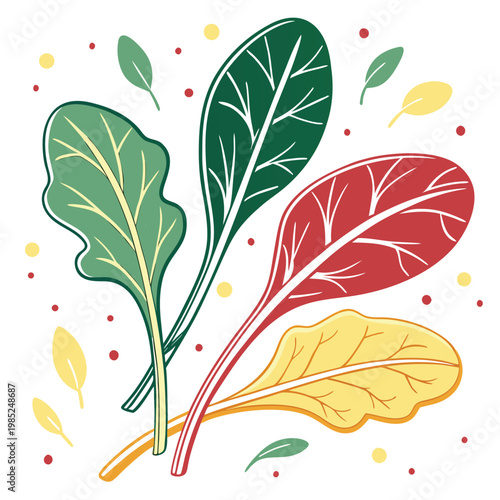 spinach colorful on white background