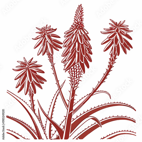 red hot poker with leaves