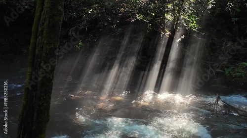 朝の立岩水源　阿蘇