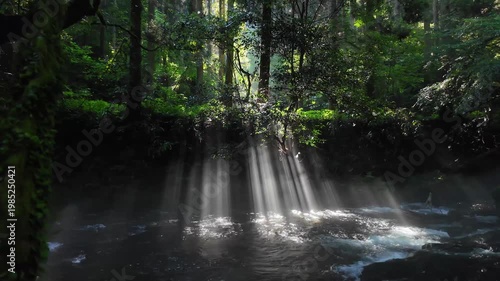 朝の立岩水源　阿蘇