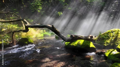 朝の立岩水源　阿蘇
