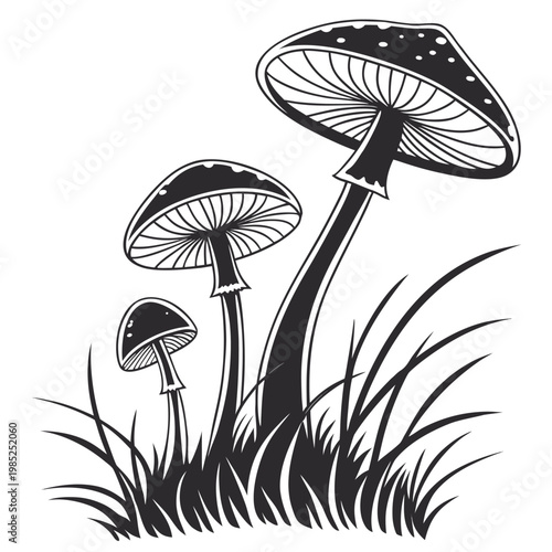 mushrooms silhouette on white background