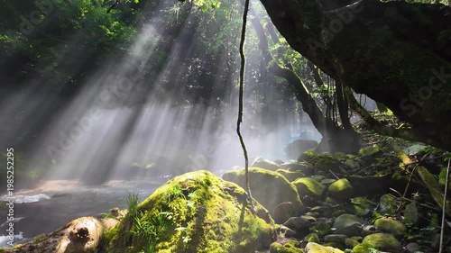 朝の立岩水源　阿蘇