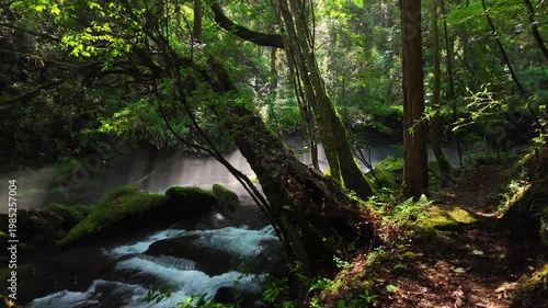 朝の立岩水源　阿蘇