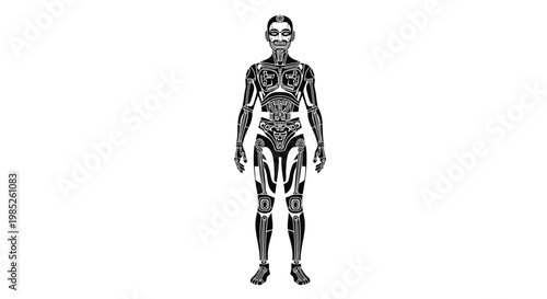 Futuristic cyborg human body structure, detailed mechanical anatomy of a robot, stylized biomechanical illustration of a humanoid figure with intricate internal components and skeletal framework