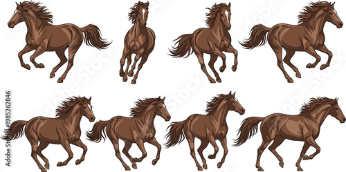 Brown Wild Horse Running and Galloping Pose Collection Set with Detailed Mane and Muscular Body Illustration