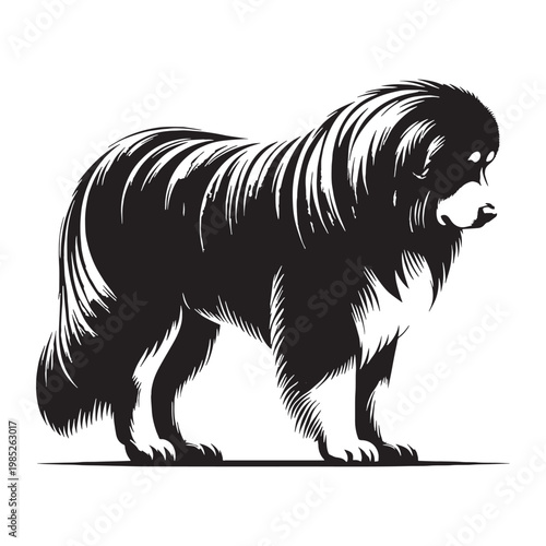 Pamir Shepherd Dog Powerful Guardian of Central Asian Mountains Loyal Protective Intelligent Rare Breed Strong Working Dog Family Protector Brave Independent Weather-Resistant Herding Companion.