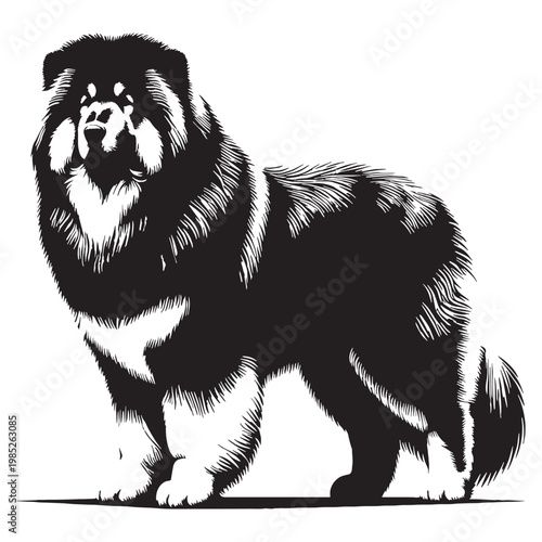 Pamir Shepherd Dog Powerful Guardian of Central Asian Mountains Loyal Protective Intelligent Rare Breed Strong Working Dog Family Protector Brave Independent Weather-Resistant Herding Companion.