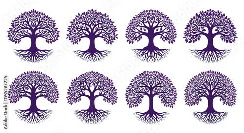 Collection of ornamental purple trees with roots and leaves on white background