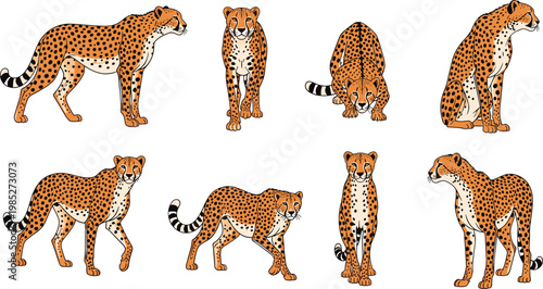 Cheetah Collection Set with Wild Big Cat Poses Isolated Safari Animal Vector Illustration Design