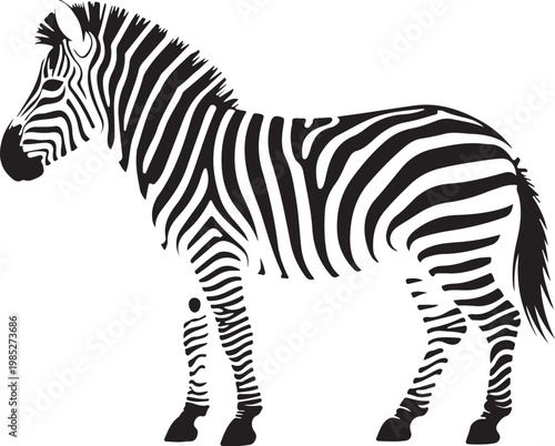 Two zebras standing side by side in a natural habitat