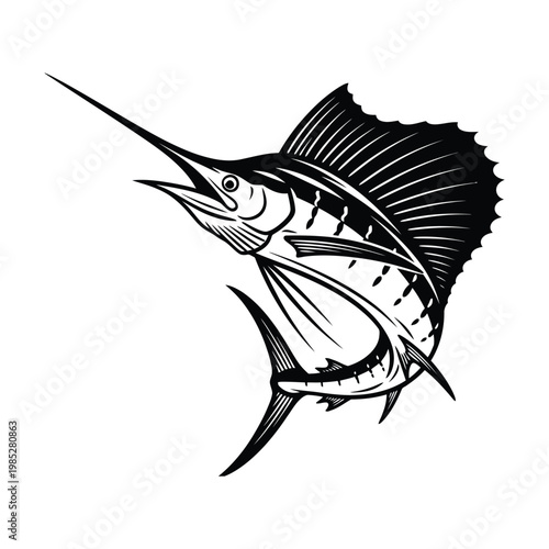 Striking black and white illustration of a majestic sailfish in dynamic motion