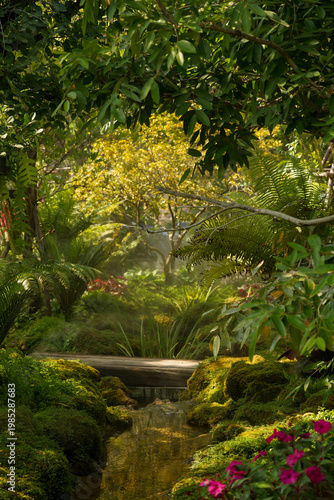 Фотография Tropical moss and fern garden with unique waterfalls and humid loving plants and