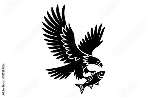 Eagle catching fish silhouette isolated on white background. powerful predatory bird in flight with prey vector illustration for nature wildlife.
