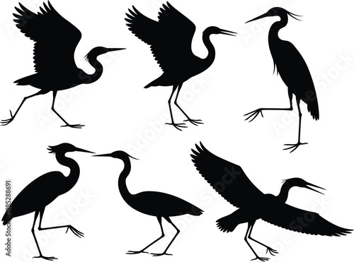 Six black heron silhouettes in various poses bird white