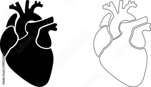 Vector art of anatomical heart organ icon
