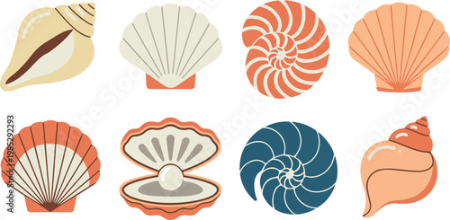 Minimalist seashell illustration set of spiral scallop and nautilus shells in two rows on white background