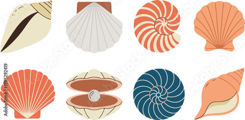 Minimalist seashell illustration set of spiral scallop and nautilus shells in two rows on white background