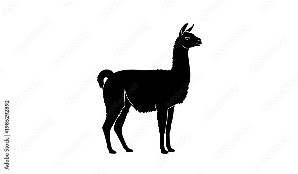 Fototapeta premium Llama silhouette side view vector animal isolated on white background