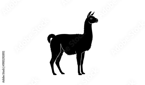 Llama silhouette side view vector animal isolated on white background
