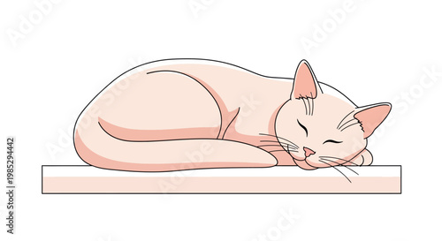 A cute light pink cartoon cat sleeping peacefully on a flat surface, rendered in a simple vector illustration style.