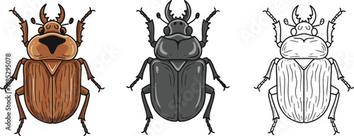 Beetle insect set in different styles, detailed illustration with brown, black, and outline versions, entomology and wildlife design elements in vector format