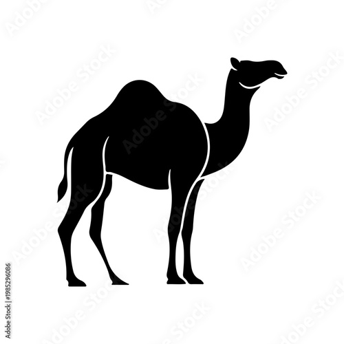 Camel Silhouette Icon, Desert Animal Dromedary Camel Vector Illustration Isolated on White Background