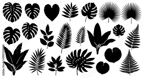 Collection of various tropical leaf silhouettes.