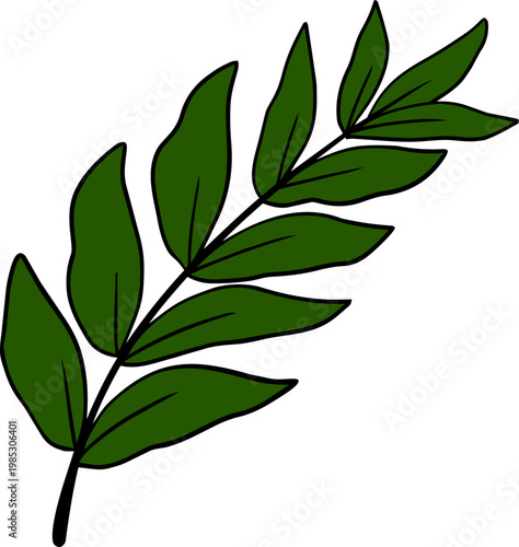 Hand Drawn Green Leaf Branch Illustration