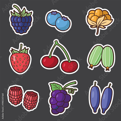 set of berries good for sticker, badge, element design, print design, etc