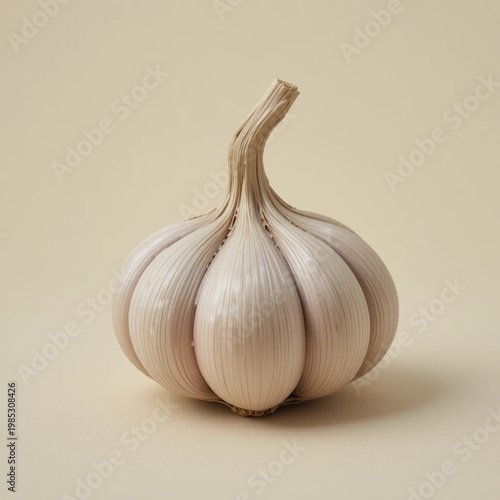 garlic isolated on white background