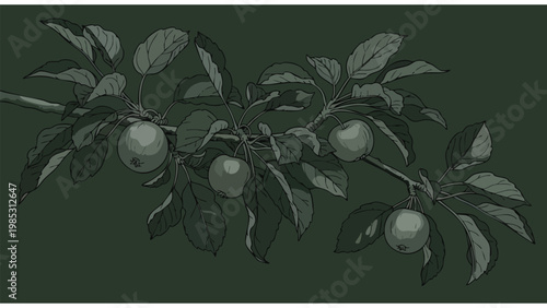 Apple Tree Branch with Fruit Illustration for Harvest and Autumn Marketing