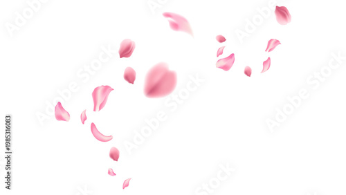 flying petal pink sakura on white background