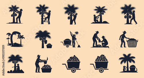 Coconut harvesting and processing agricultural activities silhouettes.