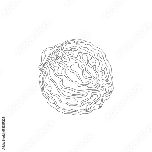 Minimalist Continuous Line Art Dried Aritha Berry for Natural Hair Cleansing Ayurvedic Concept