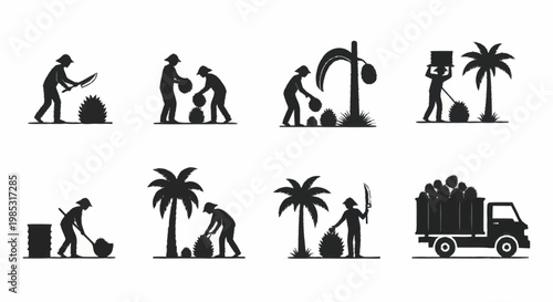 Coconut Harvest and Transportation Agricultural Icons.