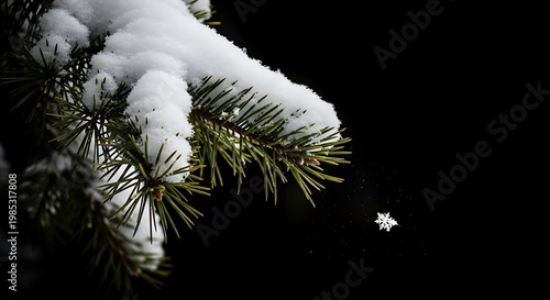 Pine branch covered in snow with a single snowflake falling.