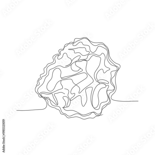 Minimalist Continuous Line Art of an Agar Agar Flake for Vegan Gelling Ingredient Symbolizing Plant-Based Innovation