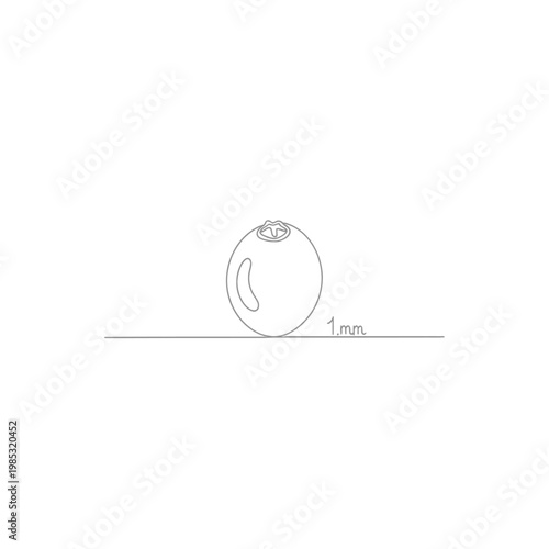 Minimalist Continuous Line Art of a Cranberry Seed for Fruit Extract Marketing Symbolizing Vital Antioxidants