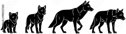 Black Wolf Growth Stages Silhouette Set, Wolf Life Cycle Vector Illustration Isolated on White Background
