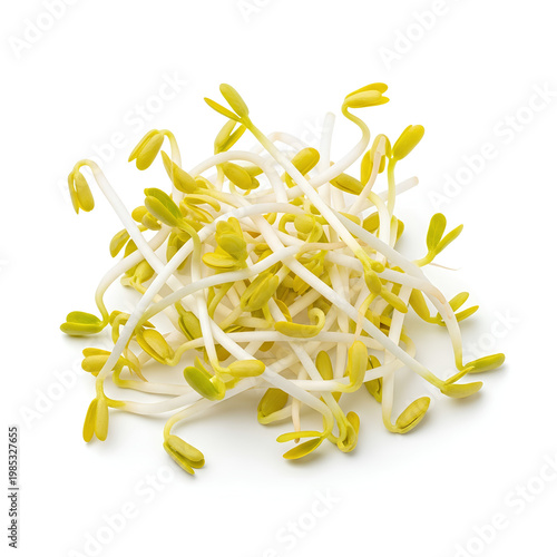Fresh and Healthy Soybean Sprouts on White Background.
