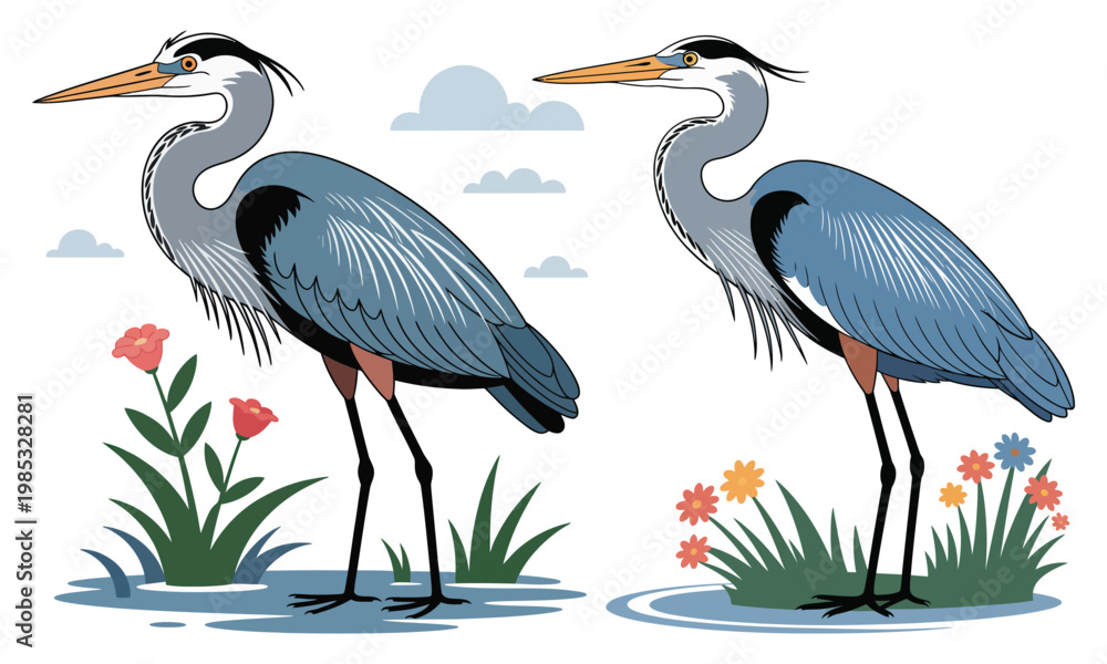 Fototapeta premium great blue heron