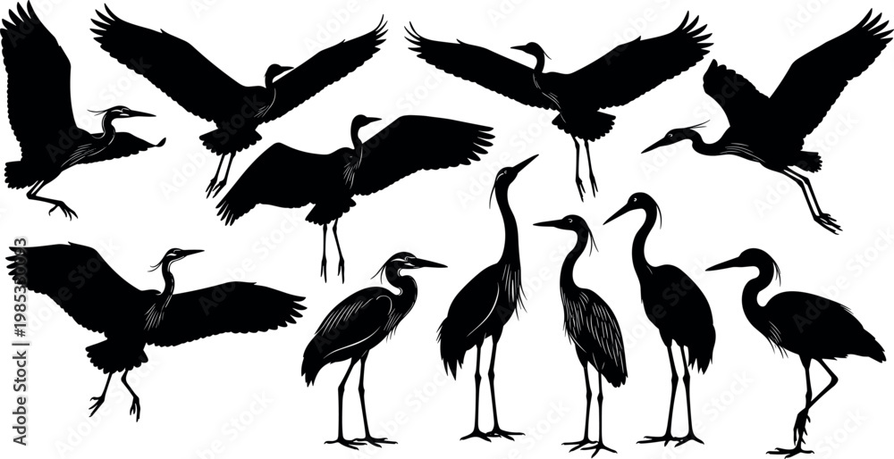 Fototapeta premium Collection of Heron and Crane Bird Silhouettes in Various Flying and Standing Poses for Nature Conservation Logos, Wildlife Illustrations, and Minimalist Zen Wall Art Designs